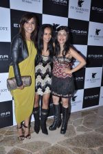 Manasi Scott, Suchitra Pillai, Shibani Kashyap at Relaunch of Enigma hosted by Krishika Lulla in J W Marriott, Mumbai on 11th Jan 2013 (93).JPG